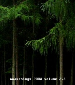 Awakenings 2008 Volume 2.5